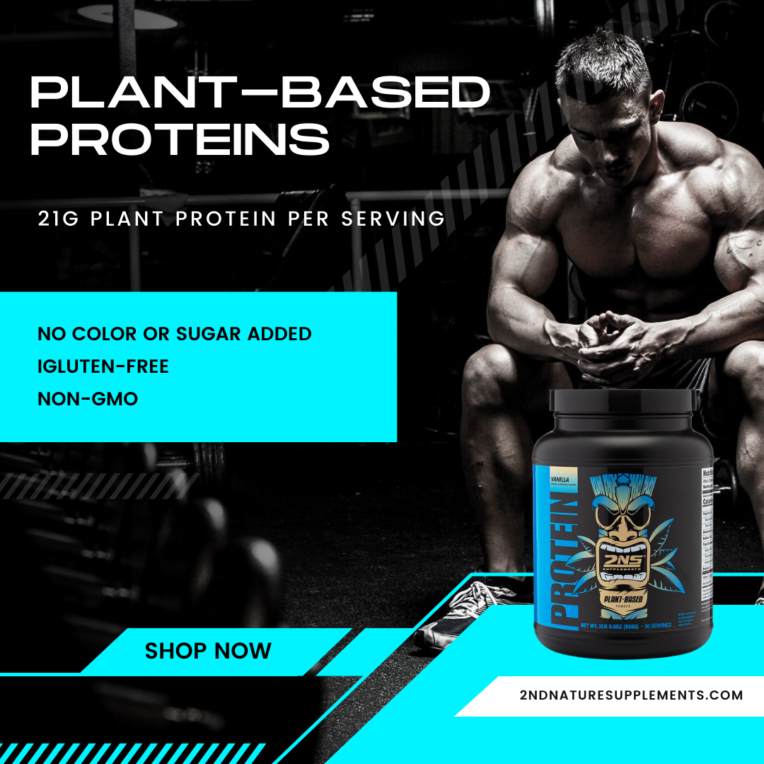 2NS Vegan Plant Based Protein Bundle